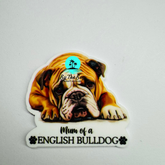 Mum of an English bulldog