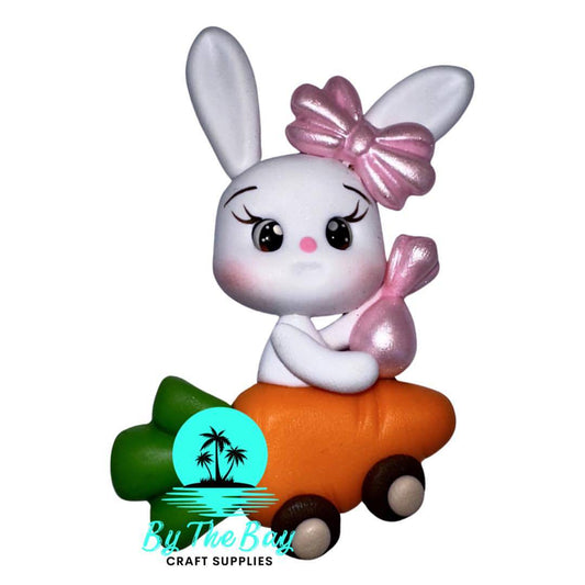 Bunny in Carrot car