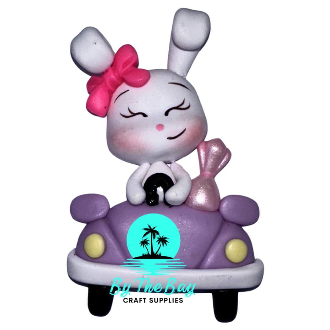 Bunny in purple car