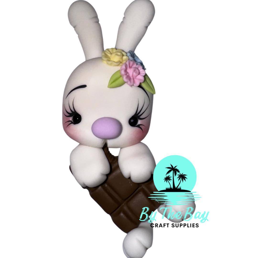 Bunny with chocolate bar