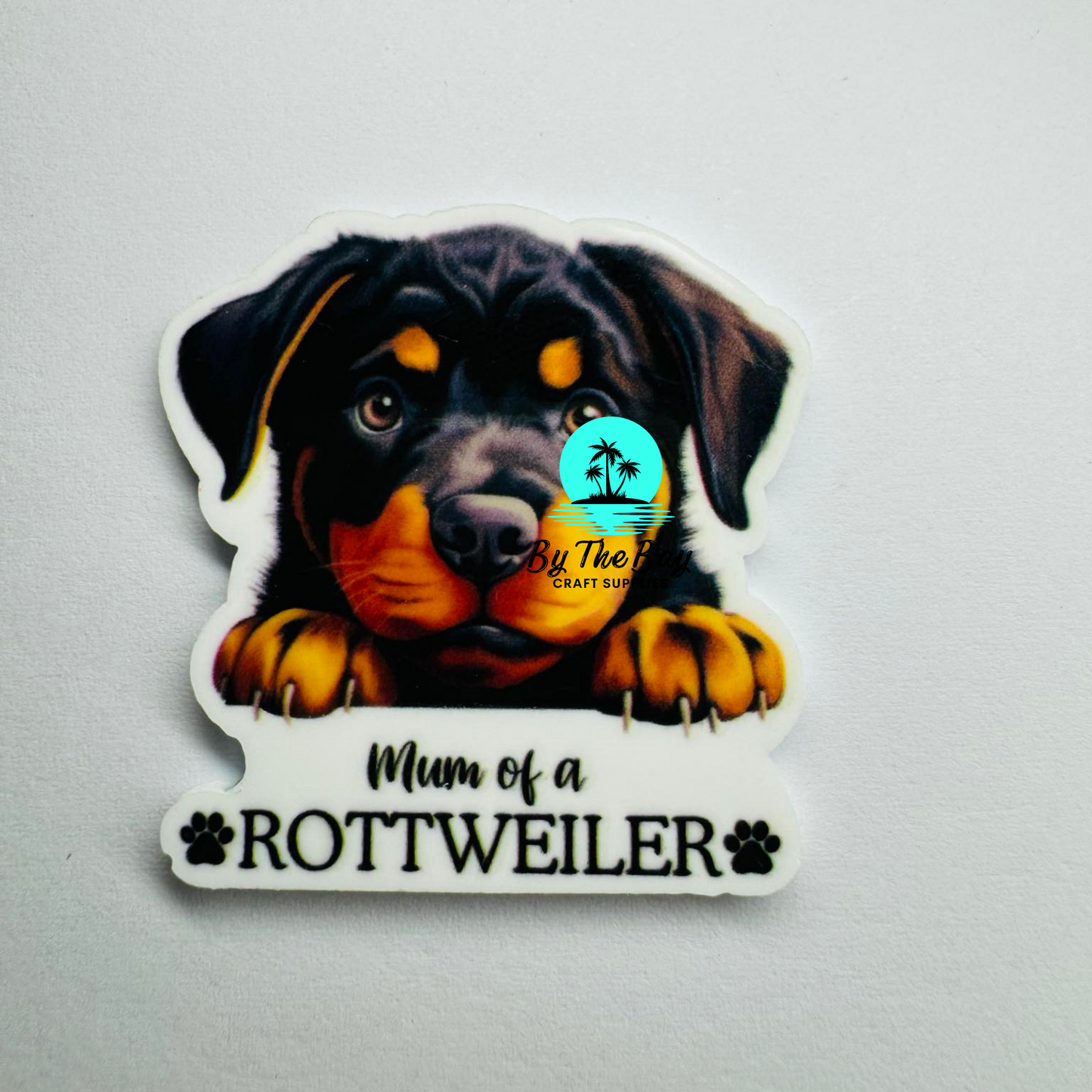 Cute rottweiler