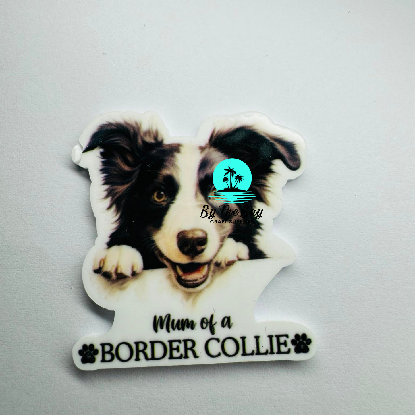 Cute border collie