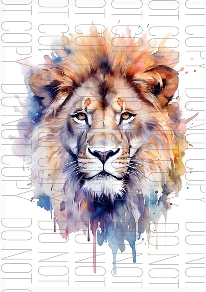 Watercolour Lion (Various sizes)