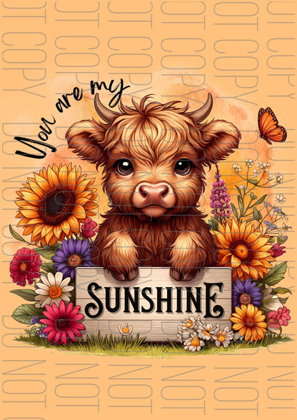 You are my sunshine Highland (Various sizes)