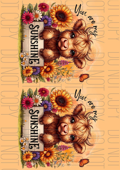 You are my sunshine Highland (Various sizes)