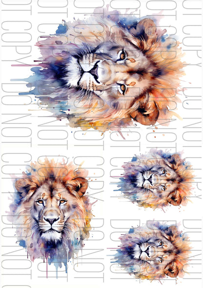 Watercolour Lion (Various sizes)