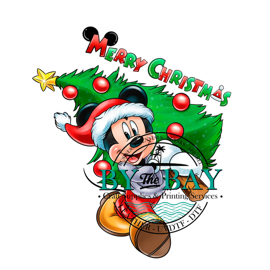 Merry Christmas Mr Mouse