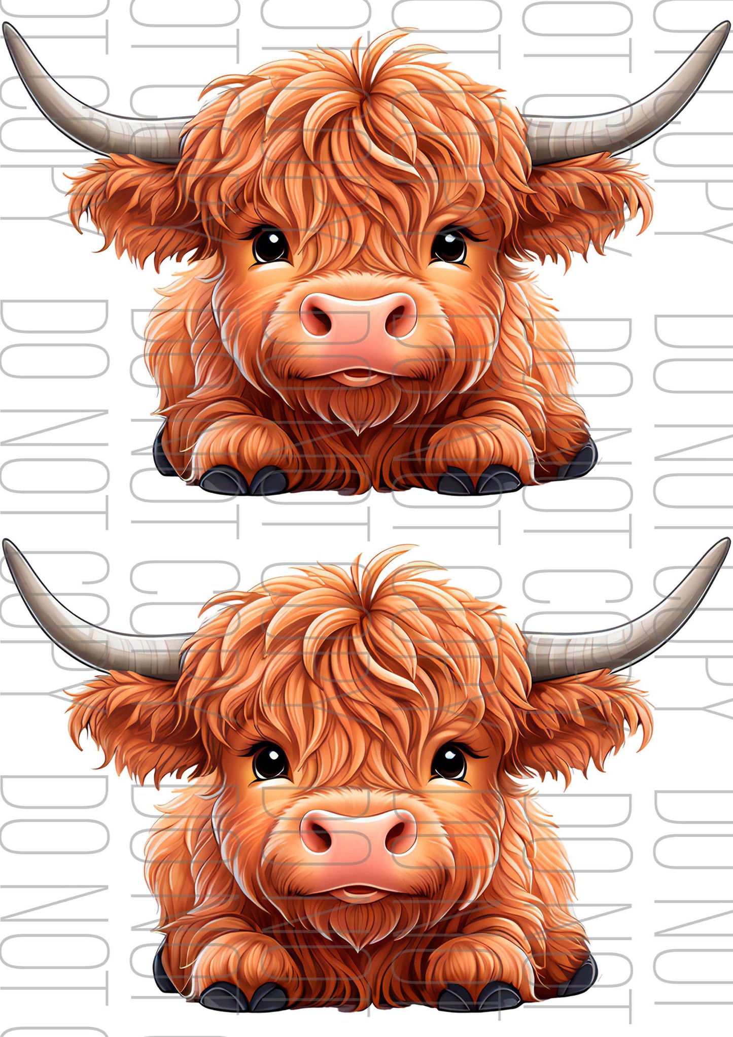 Highland Cow long horn (Various sizes)